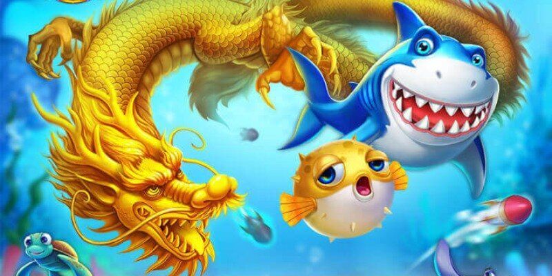 Cá rồng vàng lạ lẫm
